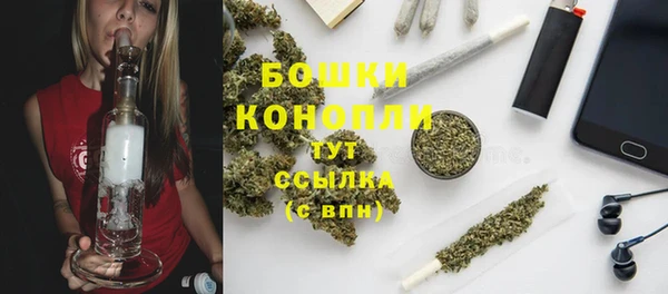 тгк Богородск