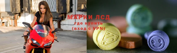 spice Богданович