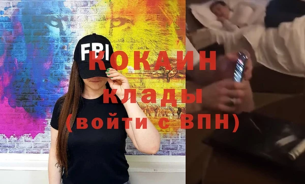 прущие грибы Бородино