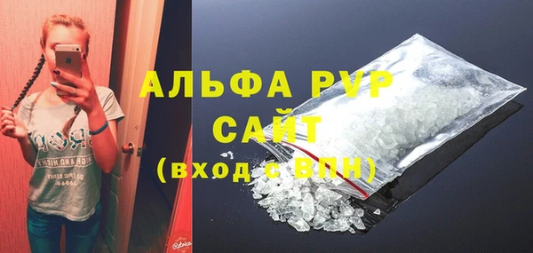 прущие грибы Бородино