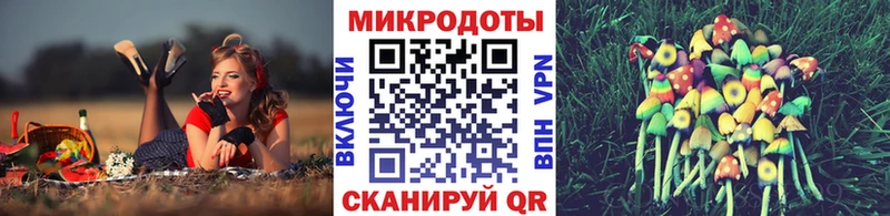 наркотики  Кинешма  Псилоцибиновые грибы Psilocybe 